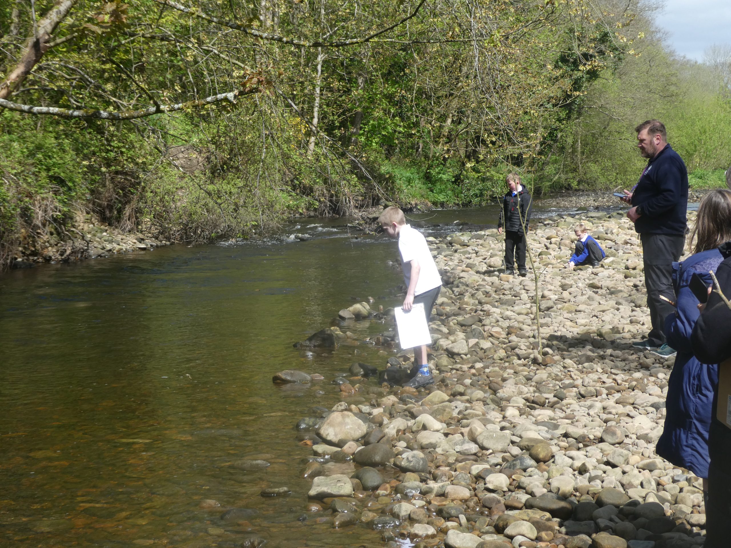 River studies at Scorton picnic site