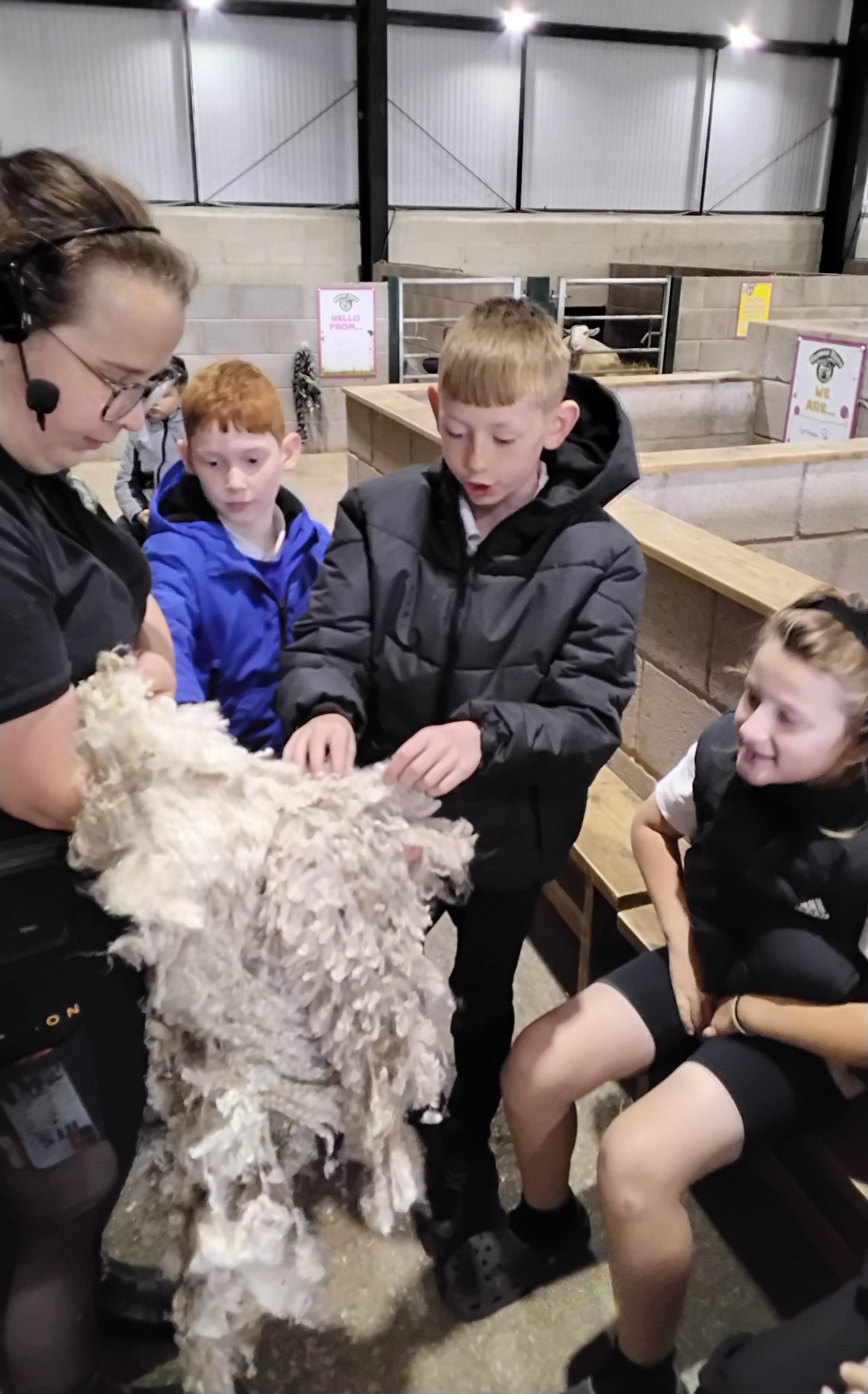 Animal nutrition at Farmer Parrs